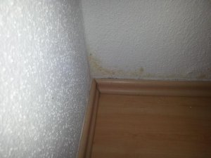 Fleck  gelb Ecke Zwischenwand an Aussenwand Schlafen.jpg