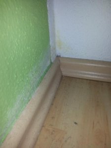 Weisser Flaum + gelber Fleck Ecke Zwischenwand an Aussenwand Kind.jpg