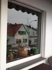 Fenster.jpg