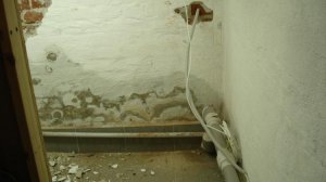 Kellerwand mit Putz und Feuchtigkeitsschaden.jpg