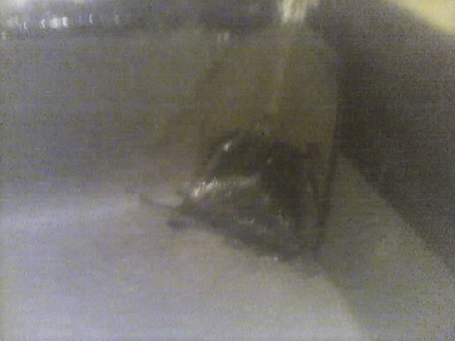 01-06-00_2115.jpg