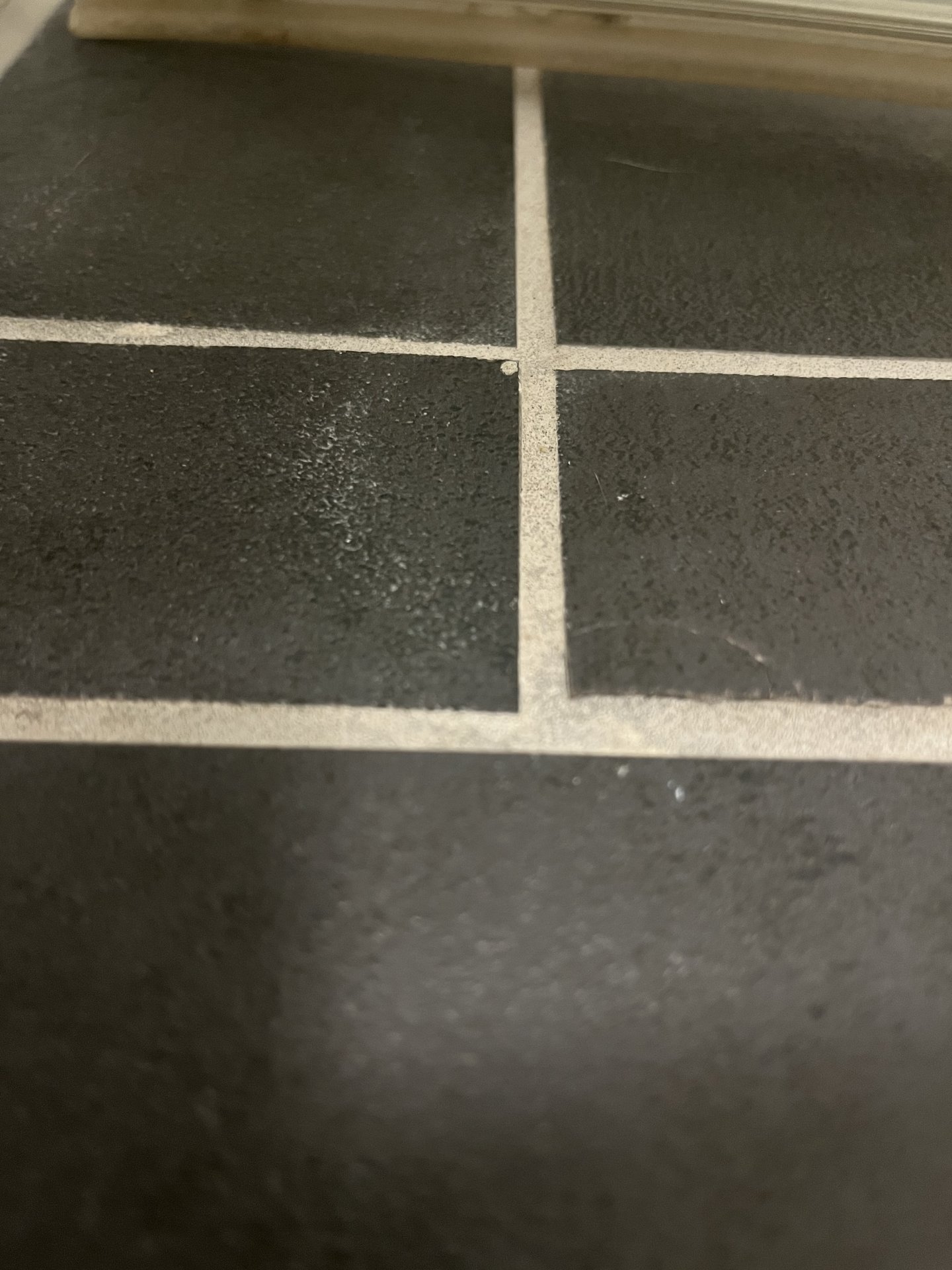 0575671C-60D8-43D1-9CFE-EB430B498AF3.jpeg