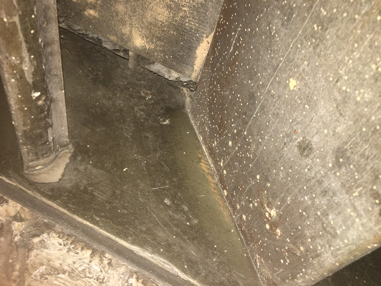 0CAA580D-04AE-4F03-B01C-5AD013510995.jpeg