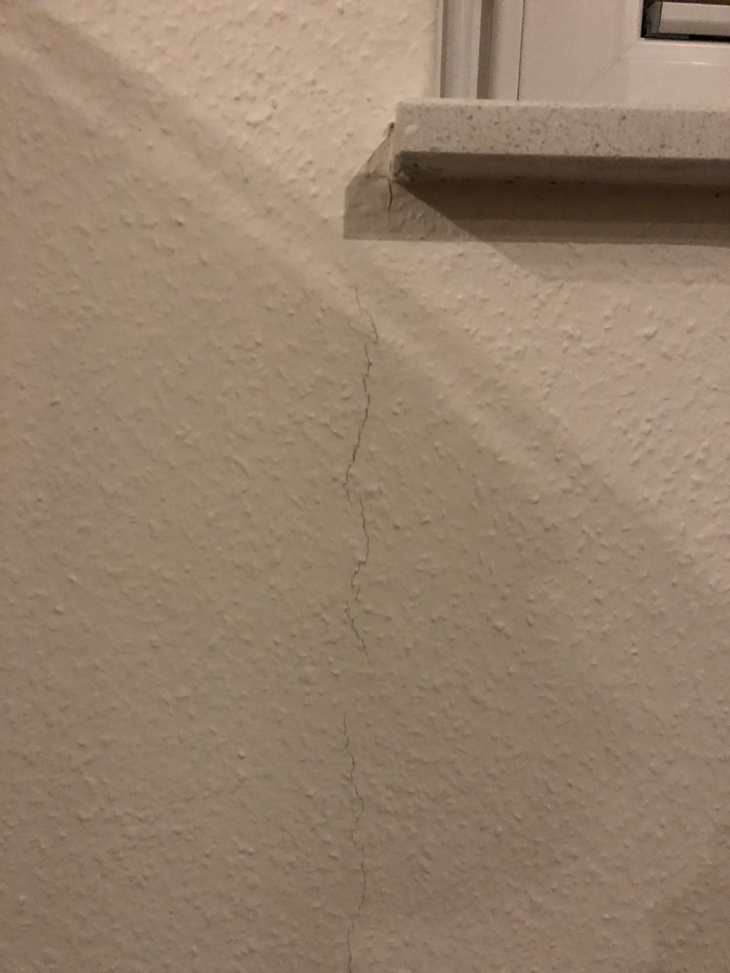 0F567DD6-4BAB-48D7-8DDD-B1C88E2512DD.jpeg