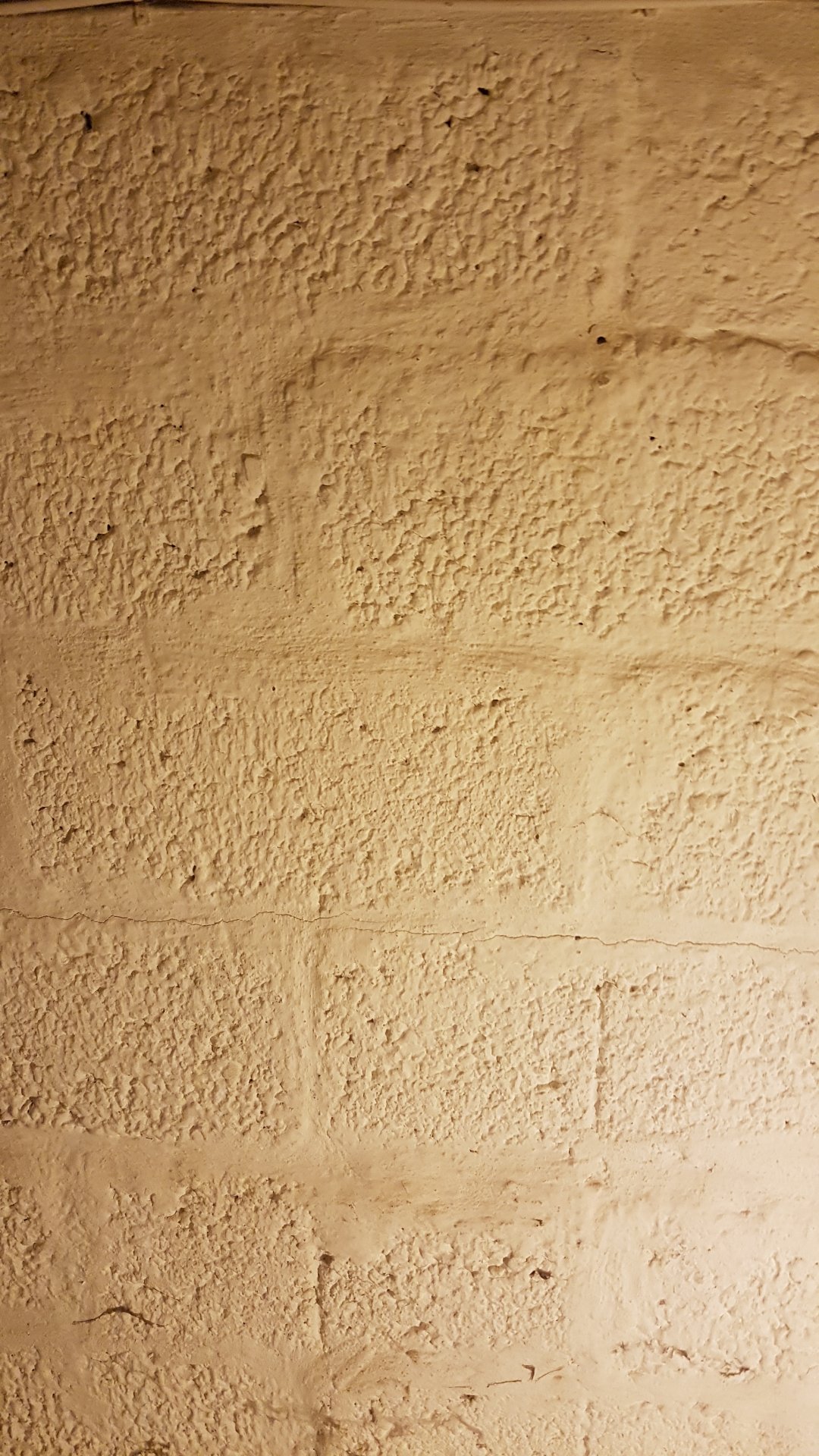 15460223323738971154925146394580.jpg