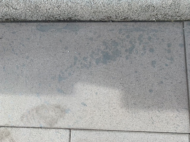 1FDE0439-CD5D-4475-94A7-362AF1787C2A.jpeg