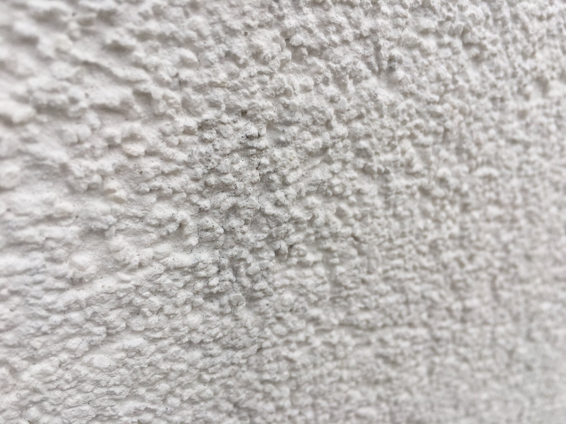 2018-0208 5.JPG