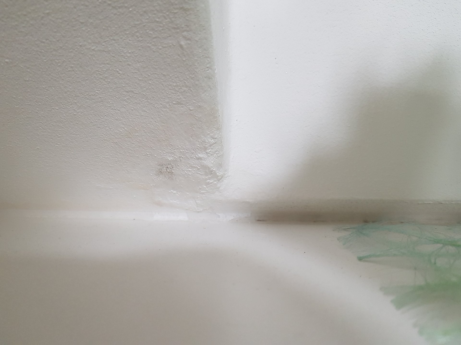 20180126_054849.jpg