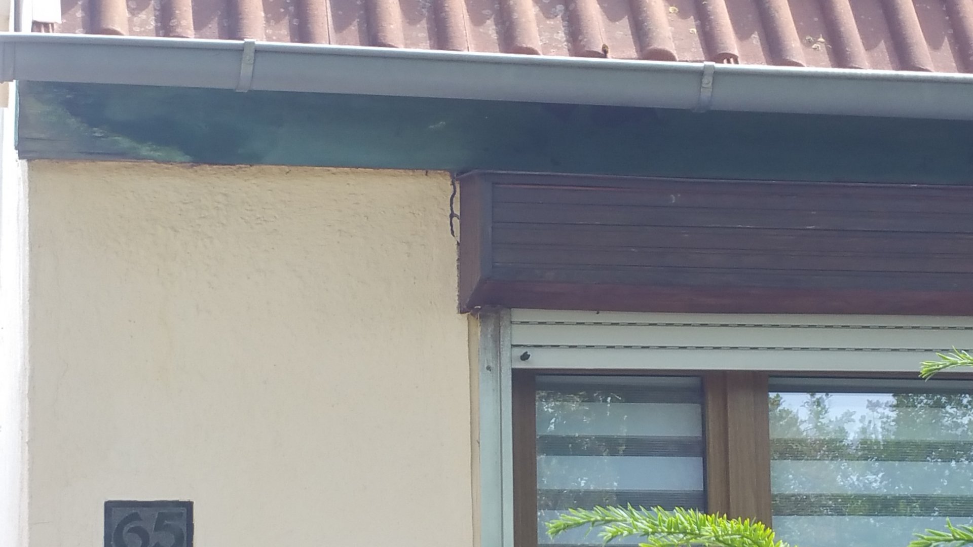 20180611_131116.jpg