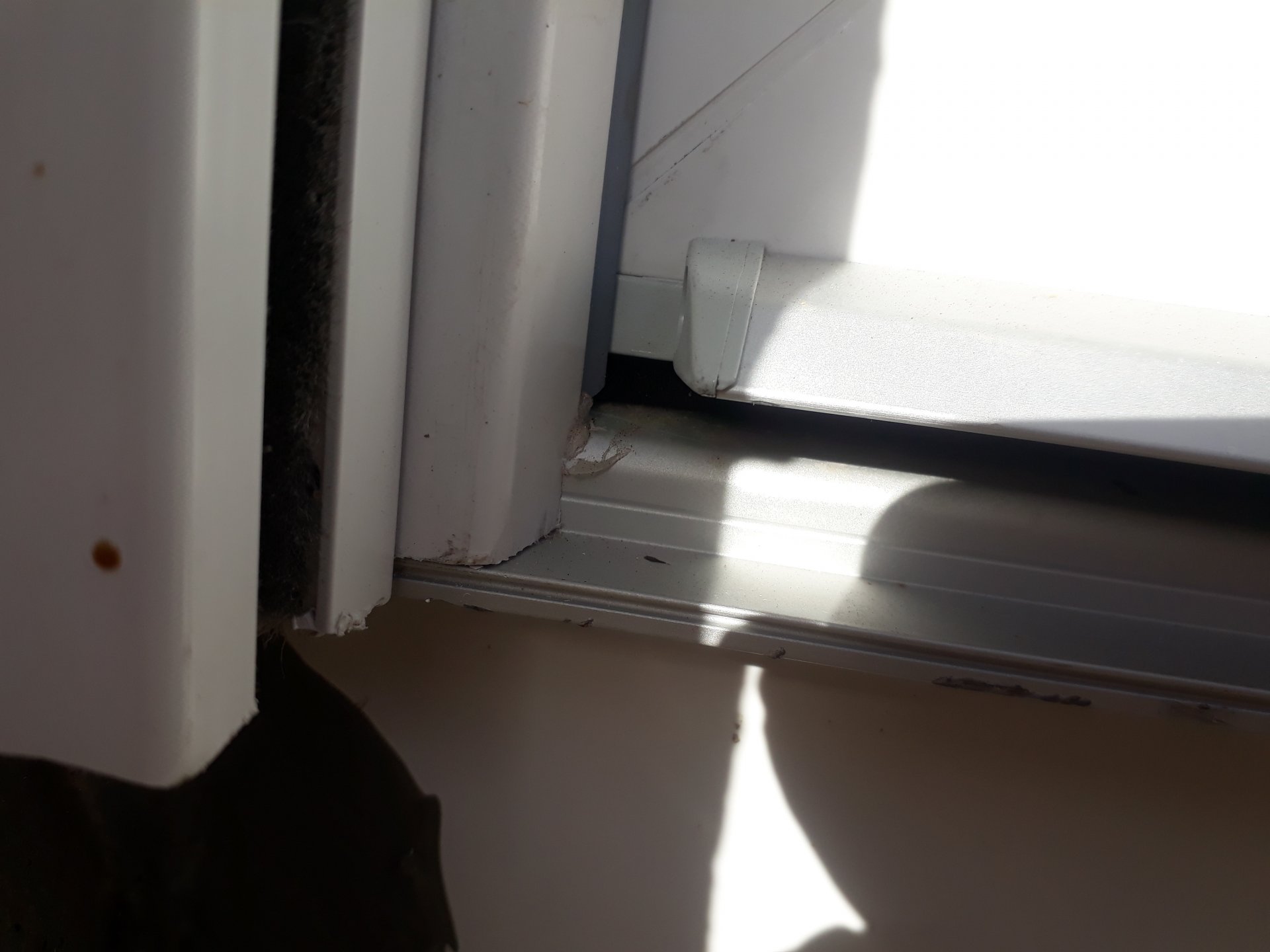 20181003_154441.jpg