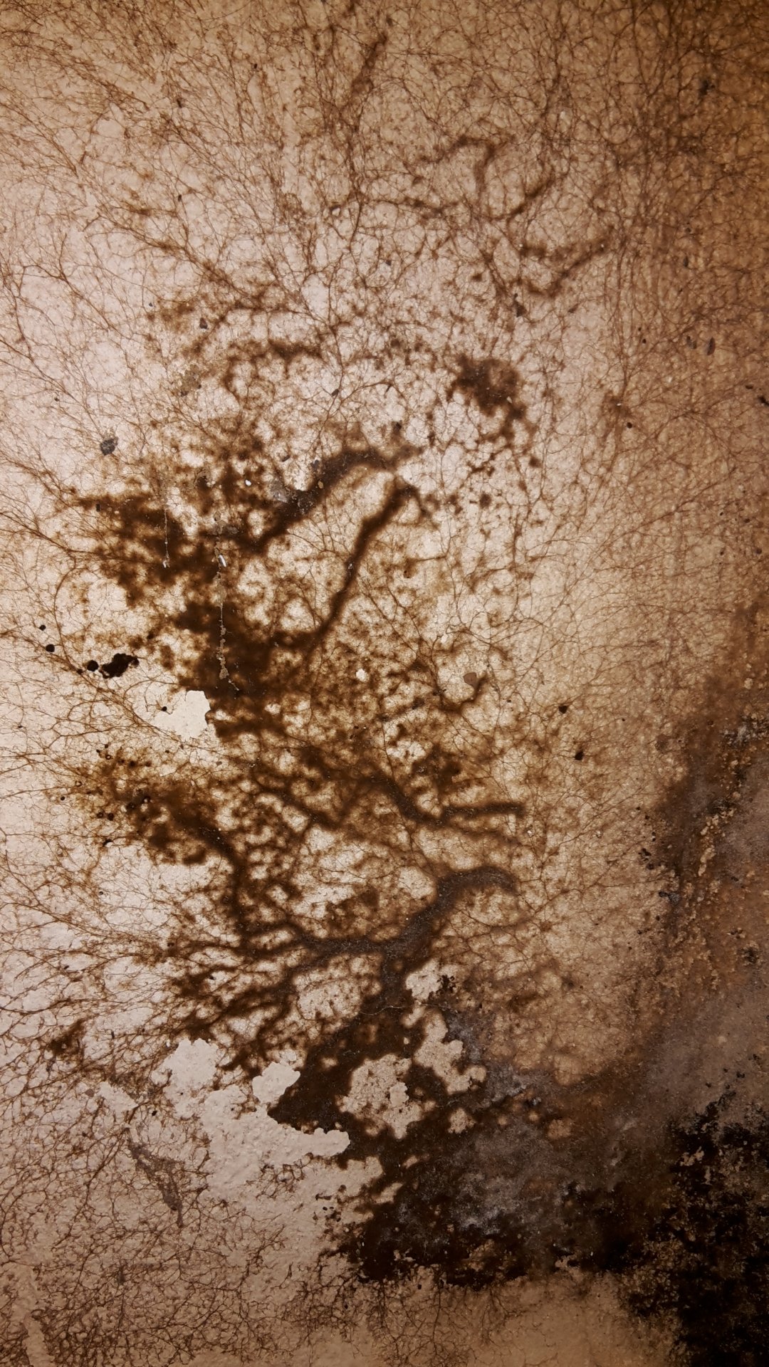 20181109_101956.jpg
