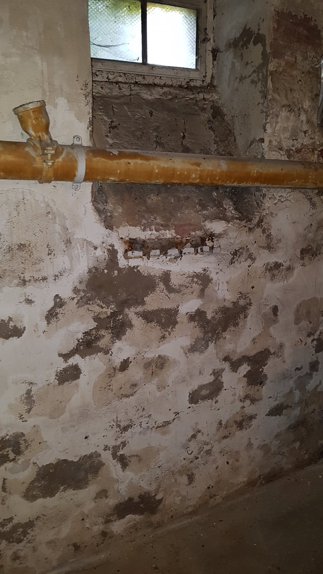 2019-04-07 12.19.30.jpg