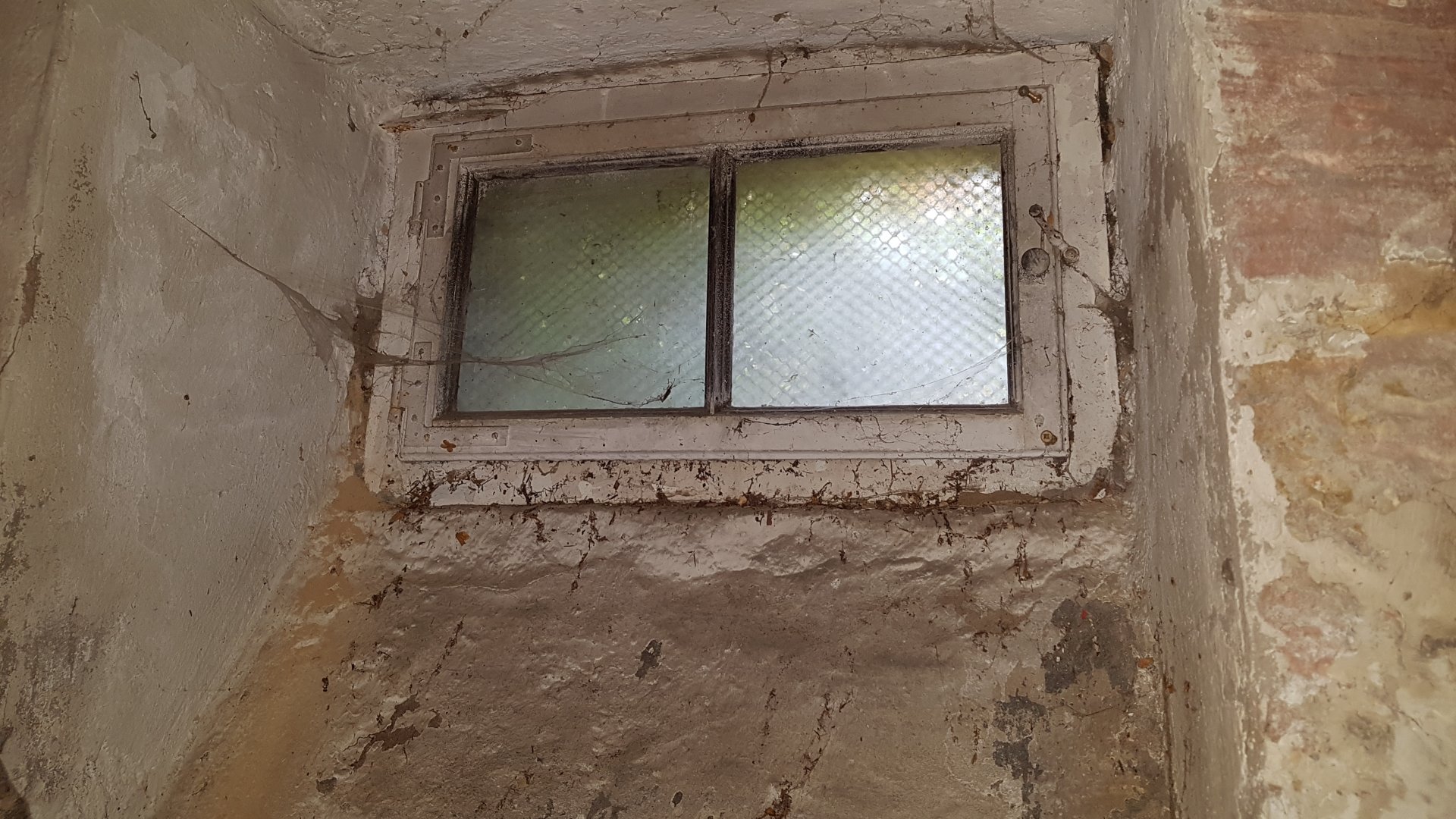 2019-04-07 12.20.09.jpg