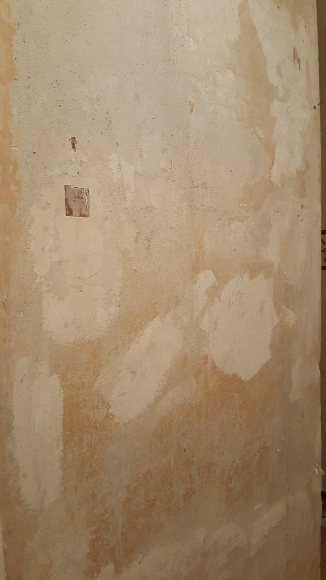 20190124_200238.jpg