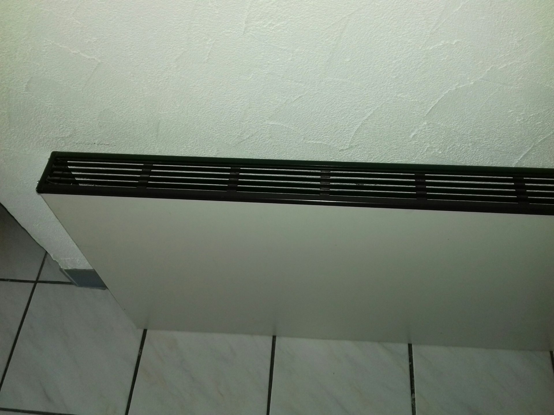 20190309_121053_resized.jpg
