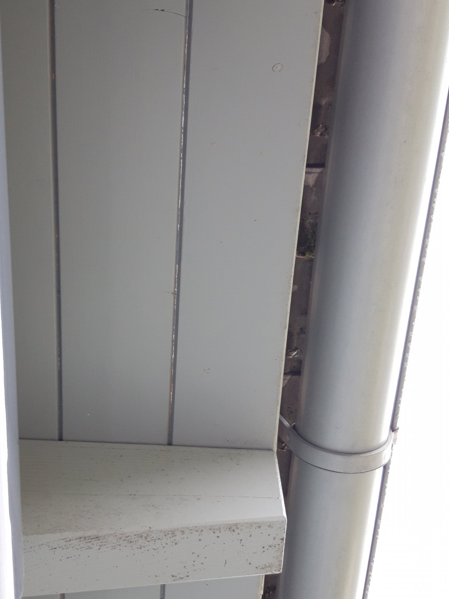 20190525_190237.jpg