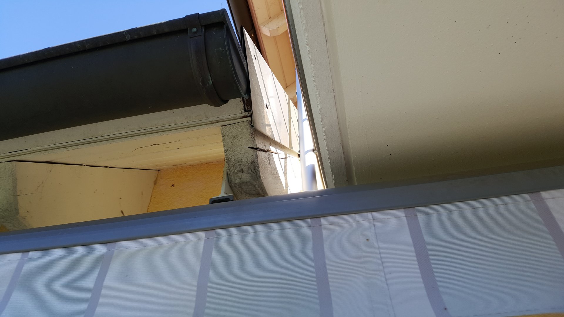 20190629_094510.jpg