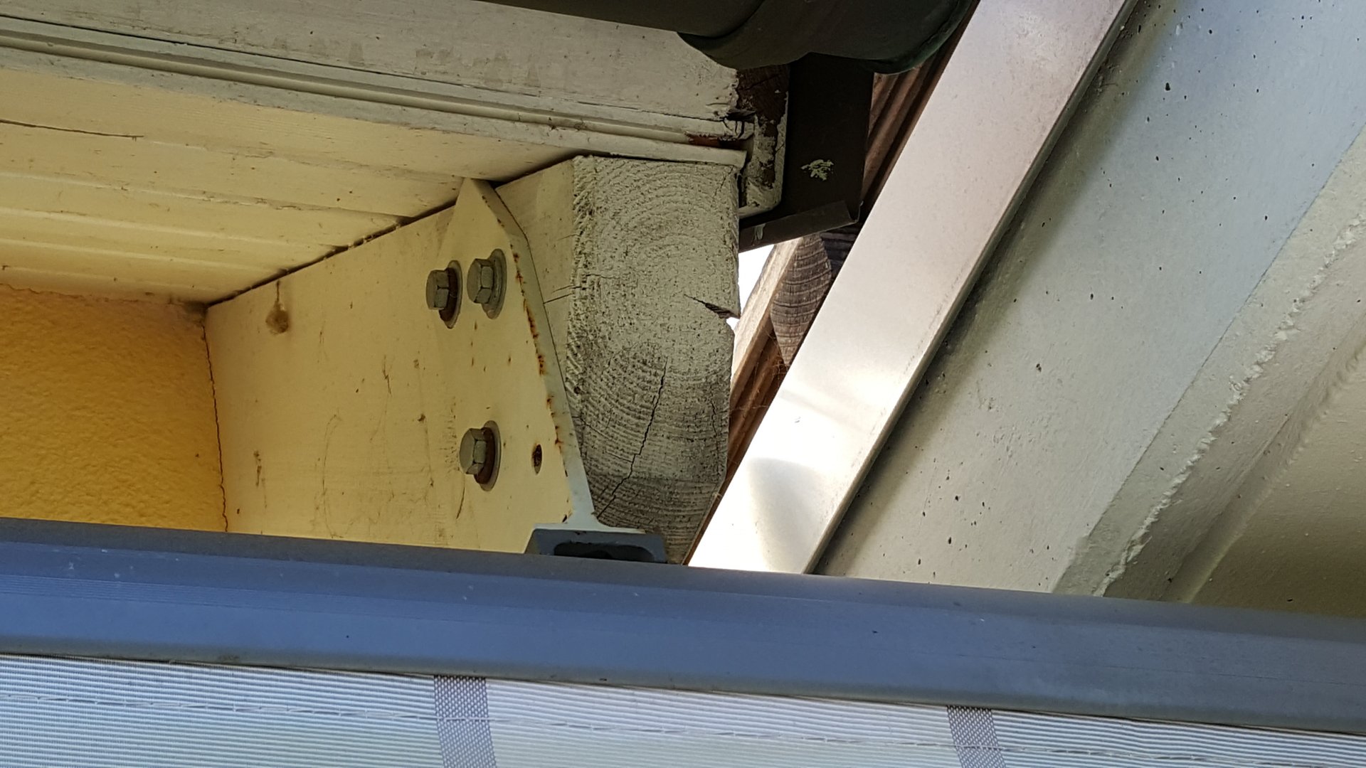 20190629_094525.jpg