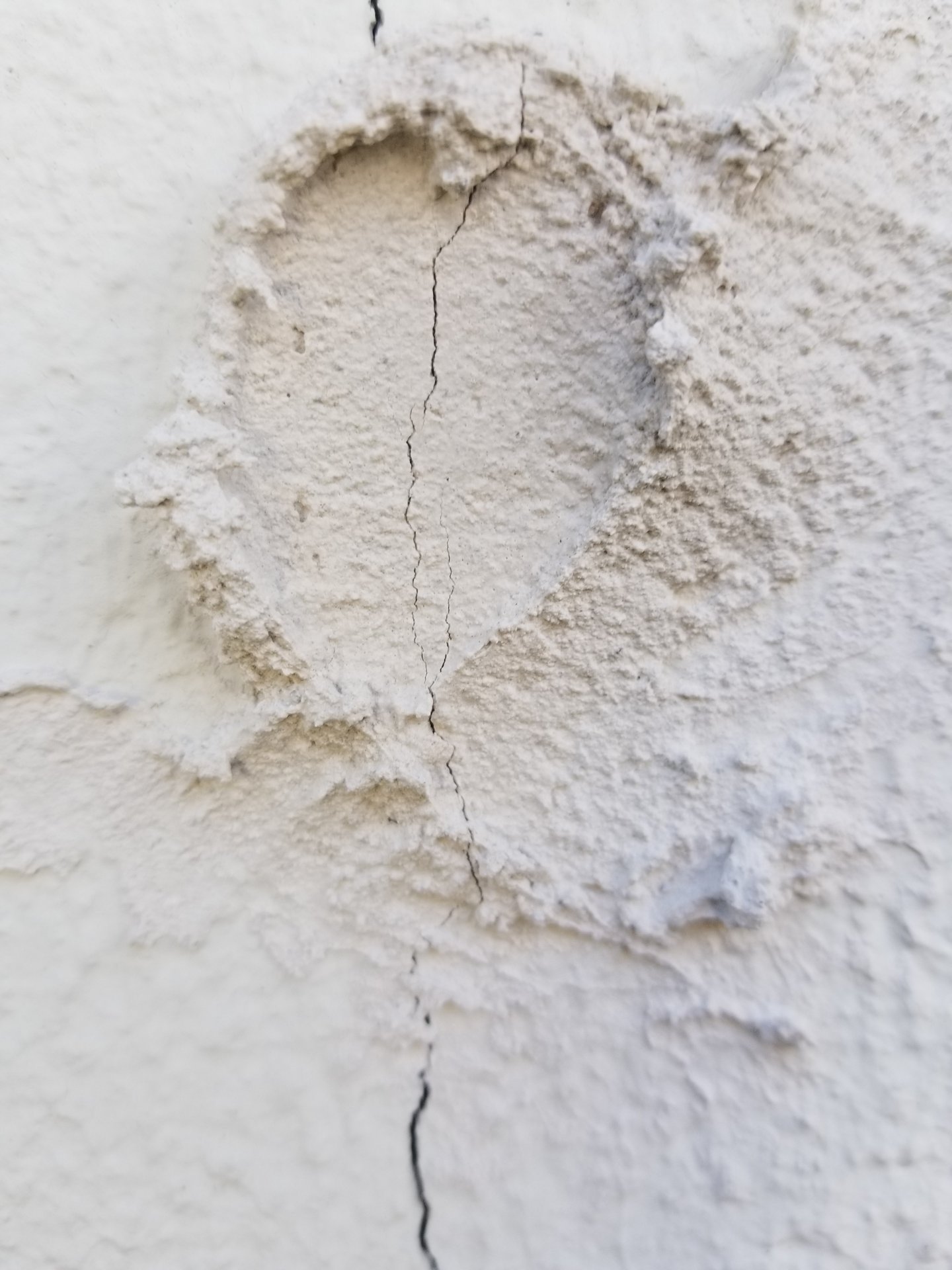 20201004_114257.jpg