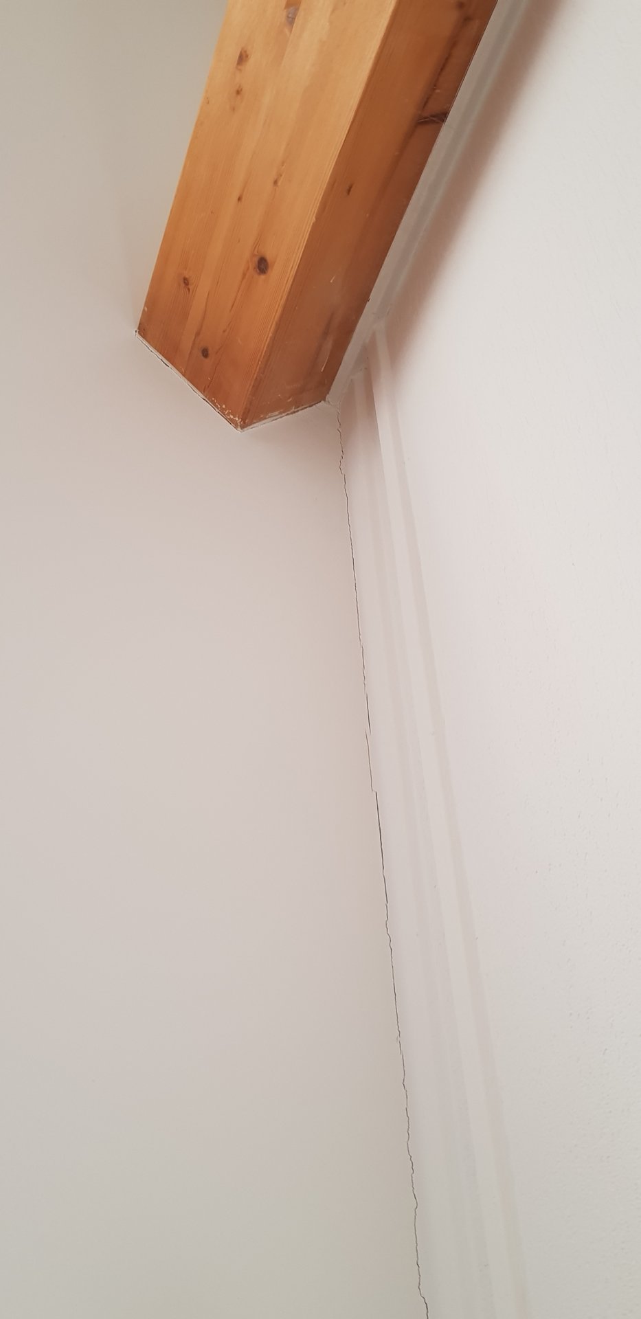 20201229_102153.jpg