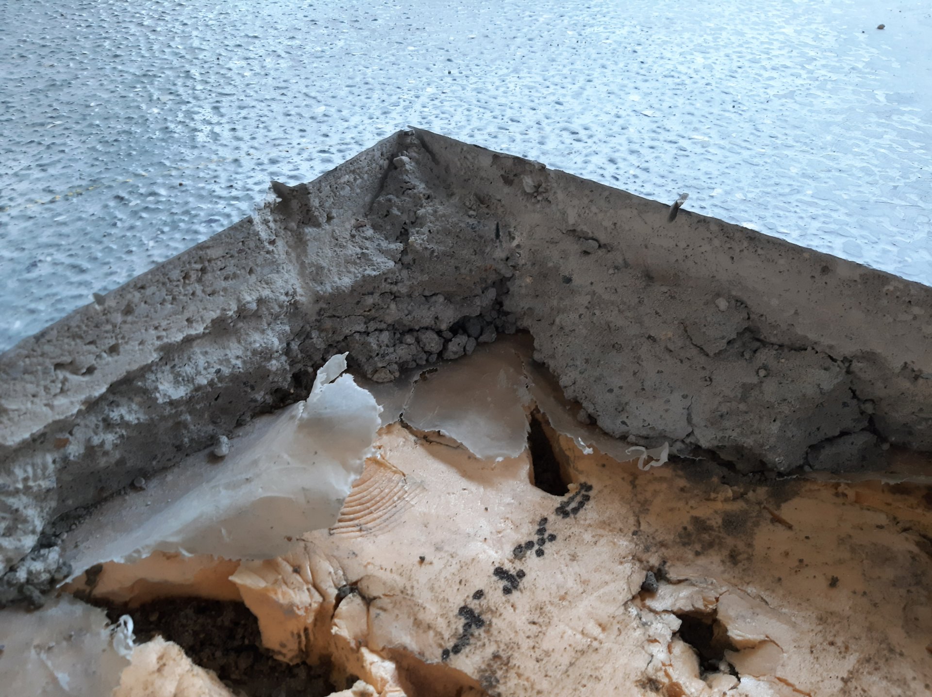 2021-01-23 15.09.29.jpg