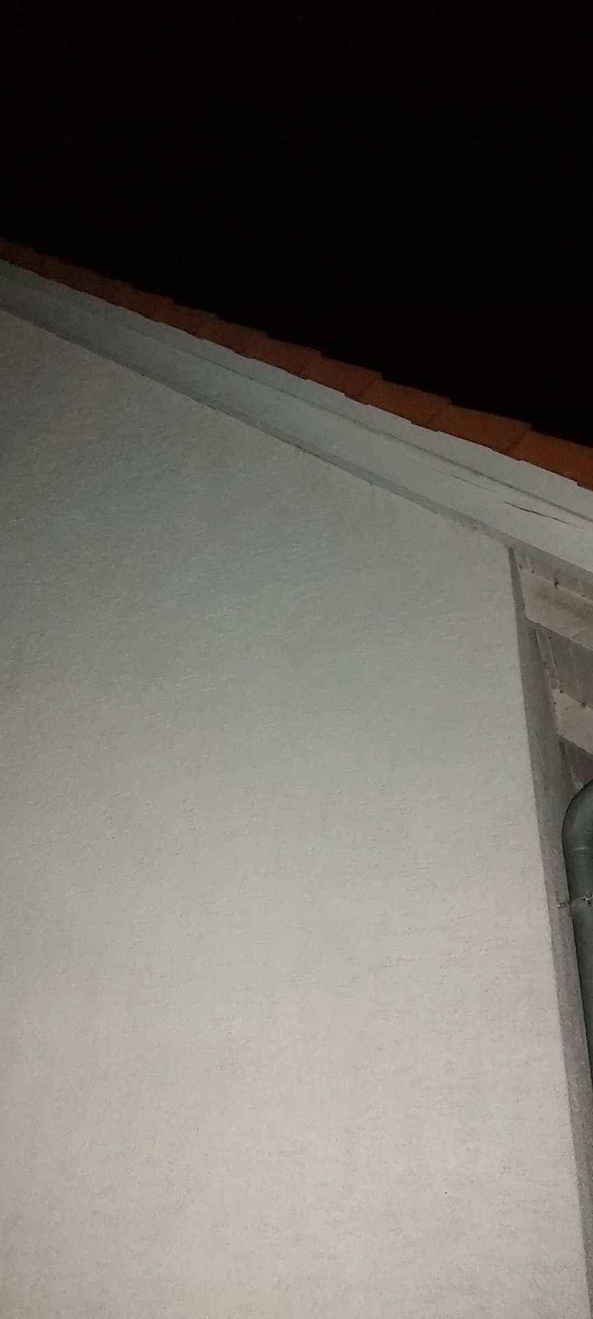 20210115_221412.jpg