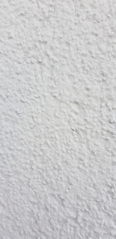 20210310_095246.jpg