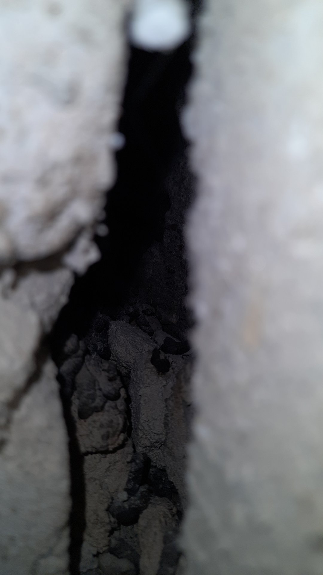 20221003_181311.jpg