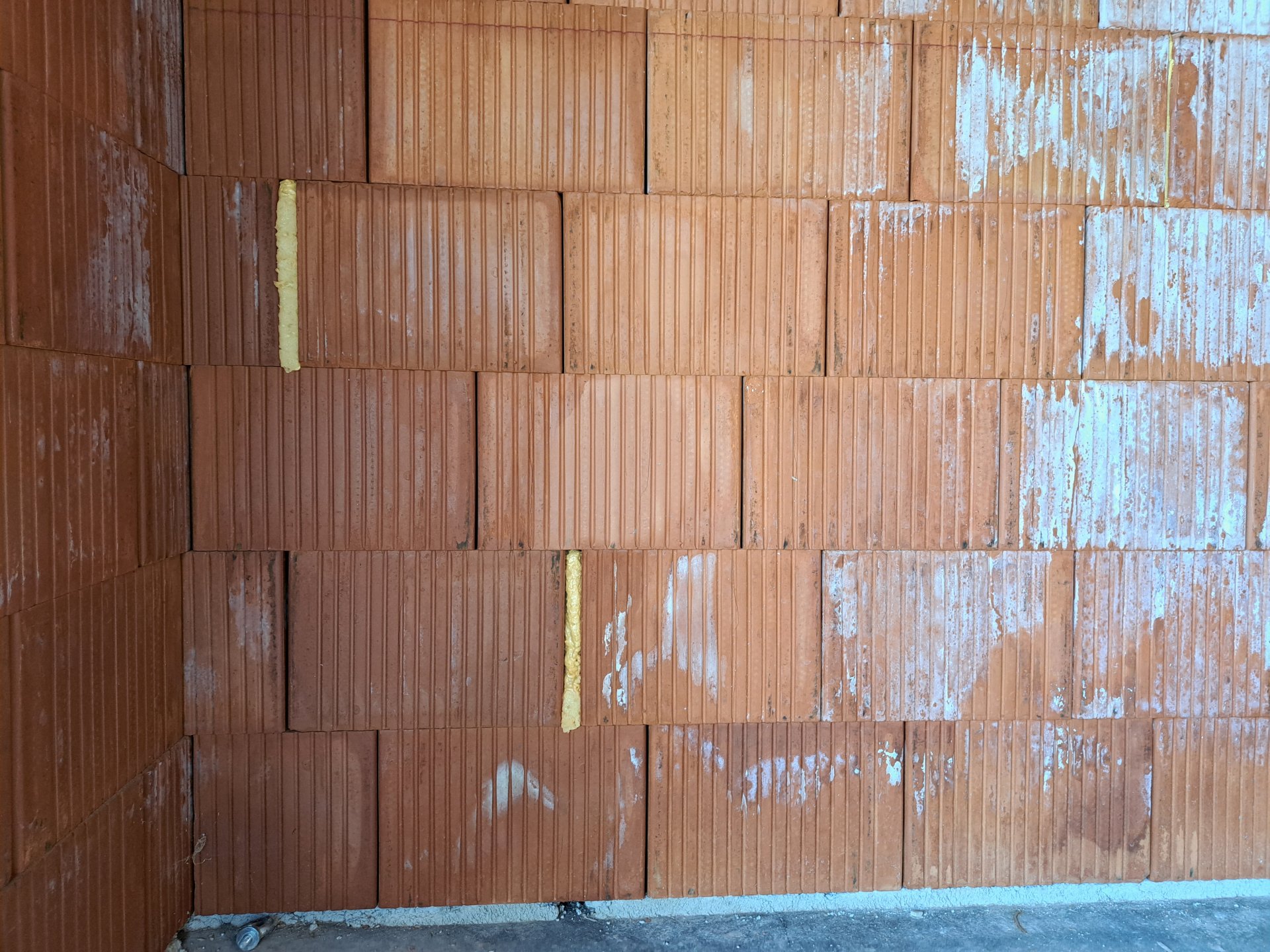 20230822_092018.jpg