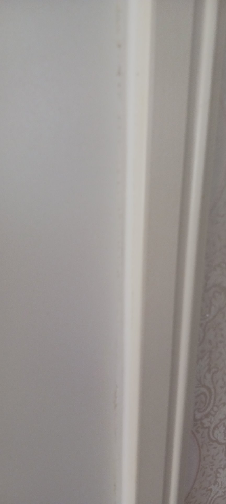 20231002_130802.jpg