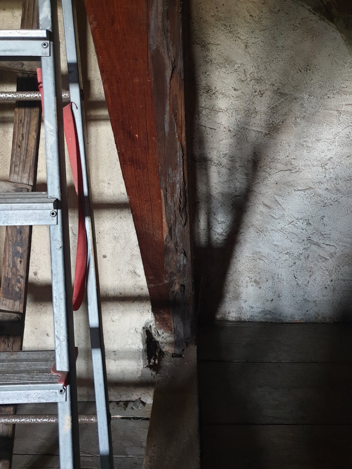 20240721_114819 - Kopie.jpg