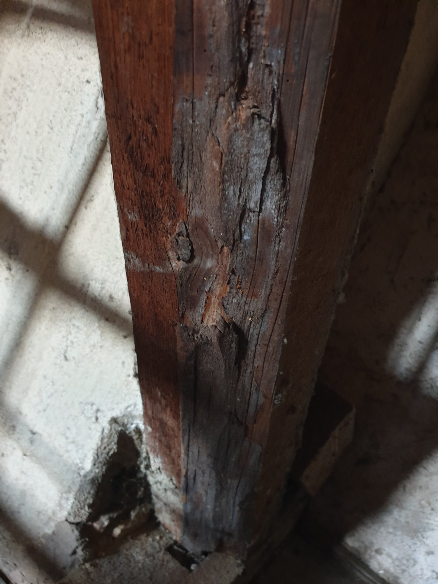 20240721_114833 - Kopie.jpg