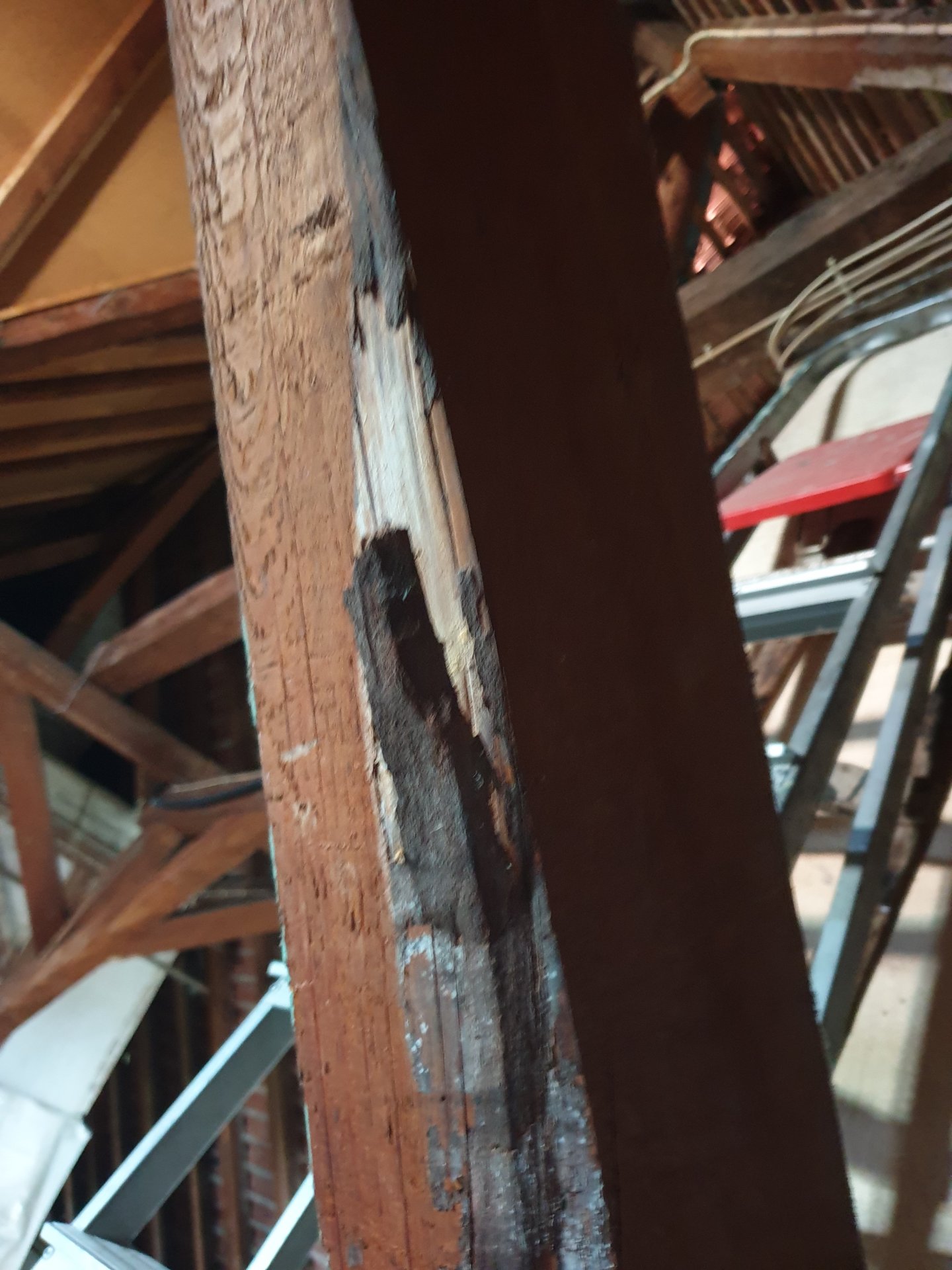 20240721_114841 - Kopie.jpg