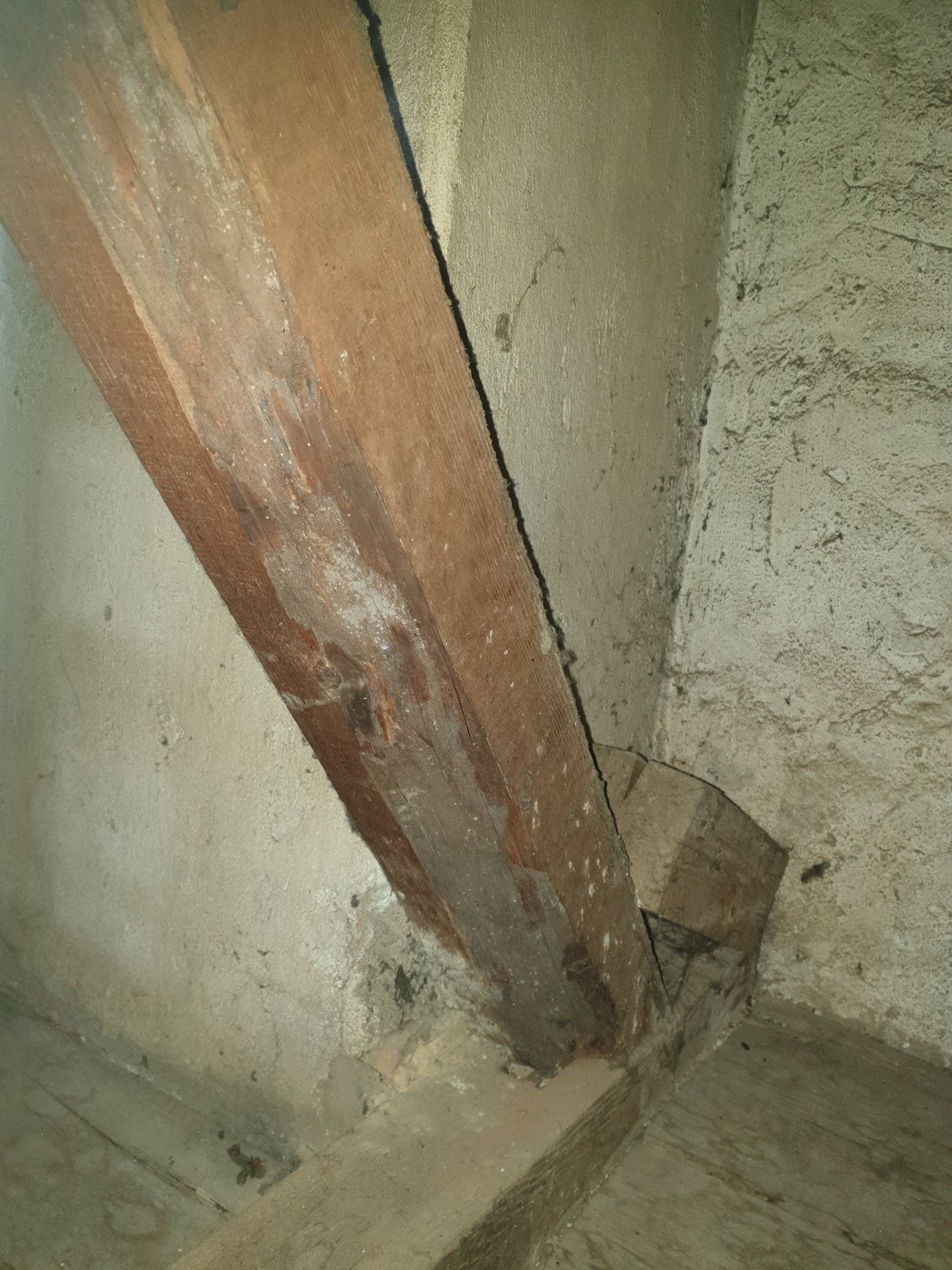 20240721_193017 - Kopie.jpg