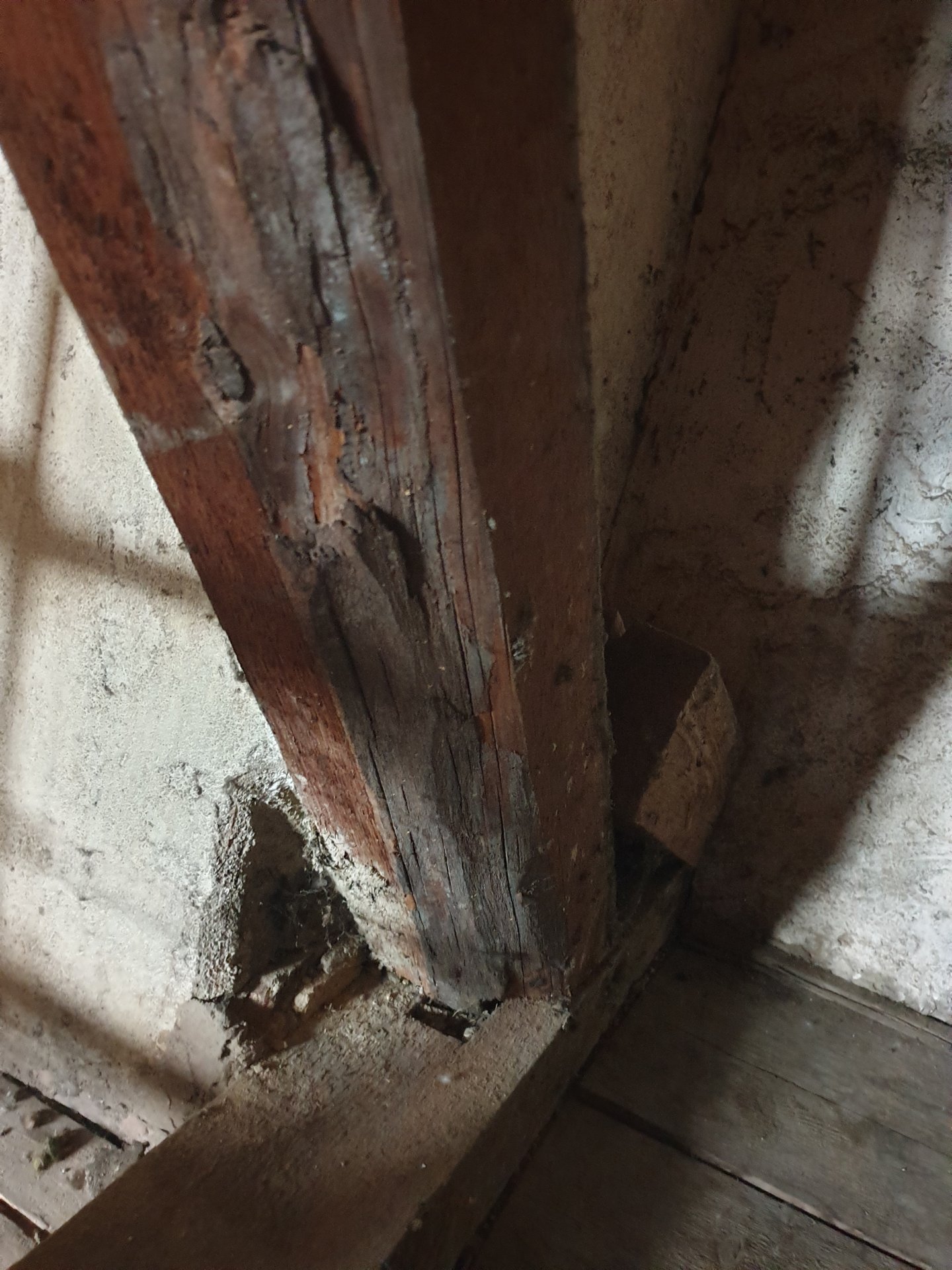 20240721_193106 - Kopie.jpg