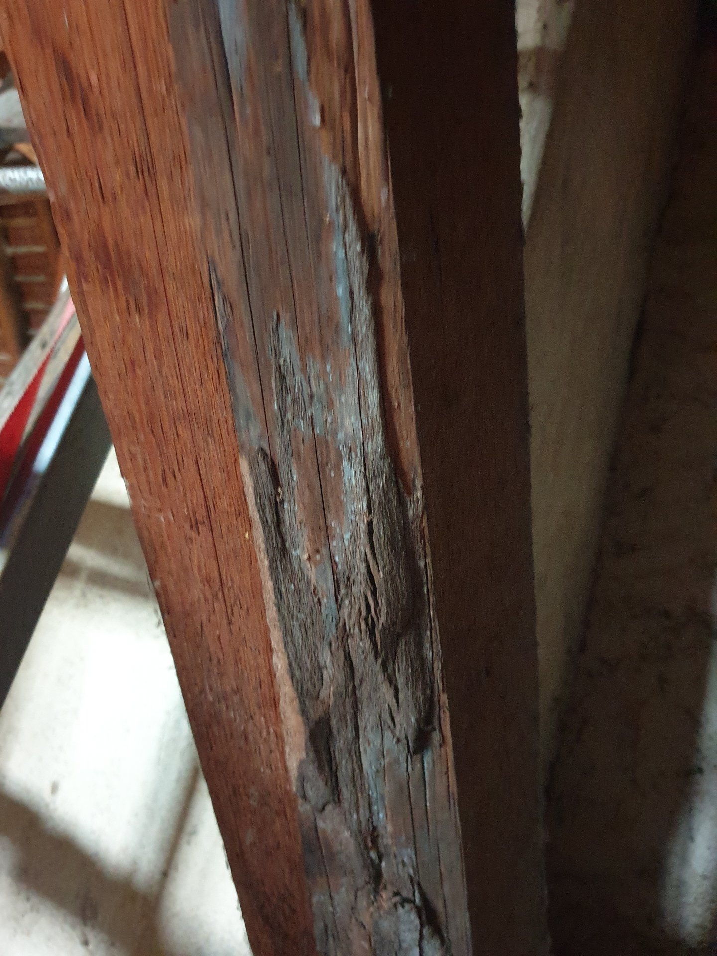 20240721_193107 - Kopie.jpg