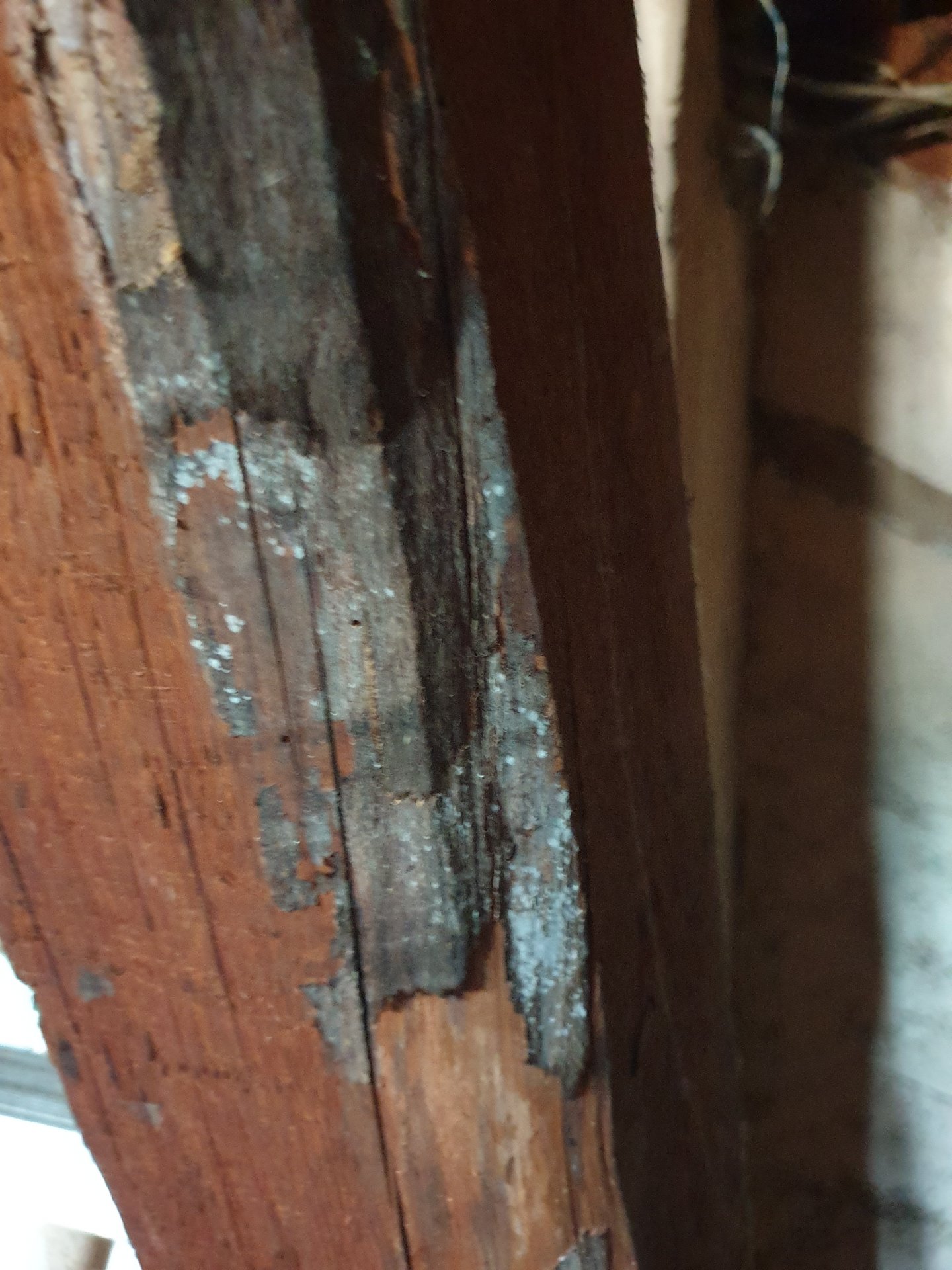 20240721_194138 - Kopie.jpg