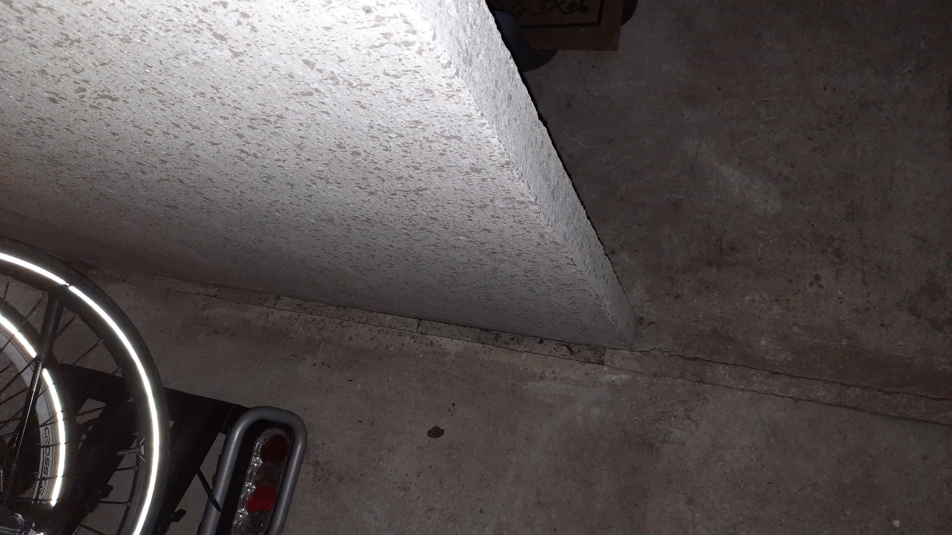20240730_063400.jpg