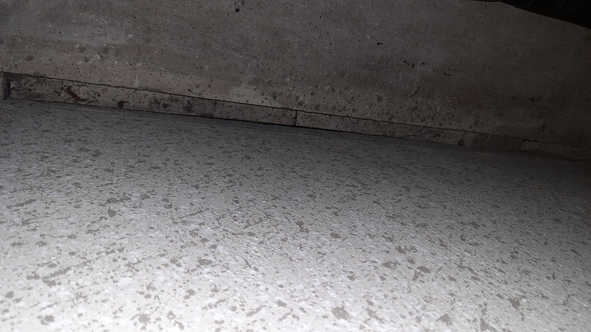 20240730_063408.jpg