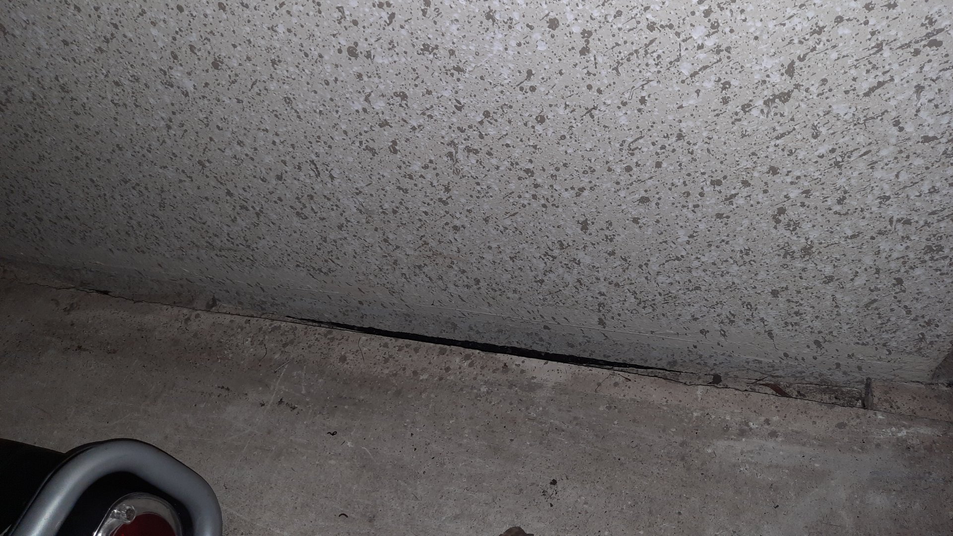 20240730_063414.jpg