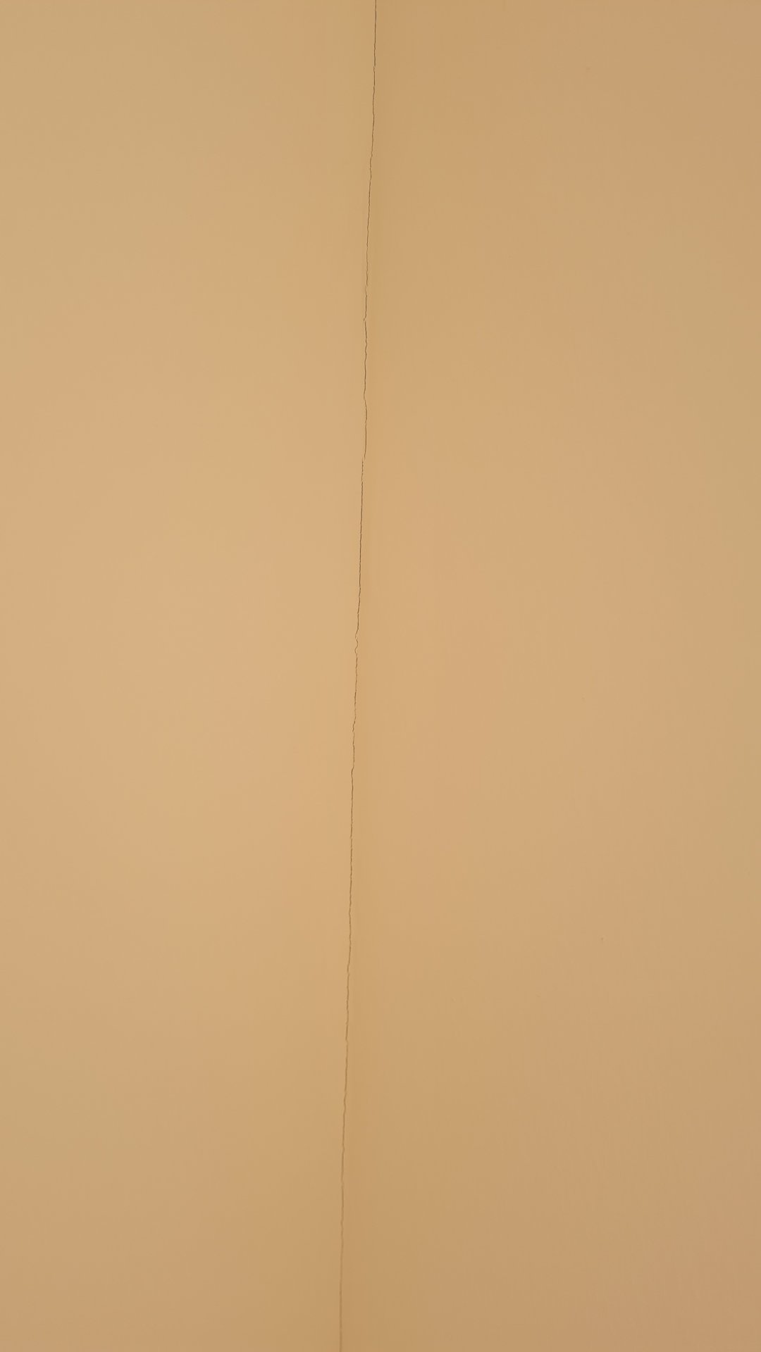 20240906_140411.jpg