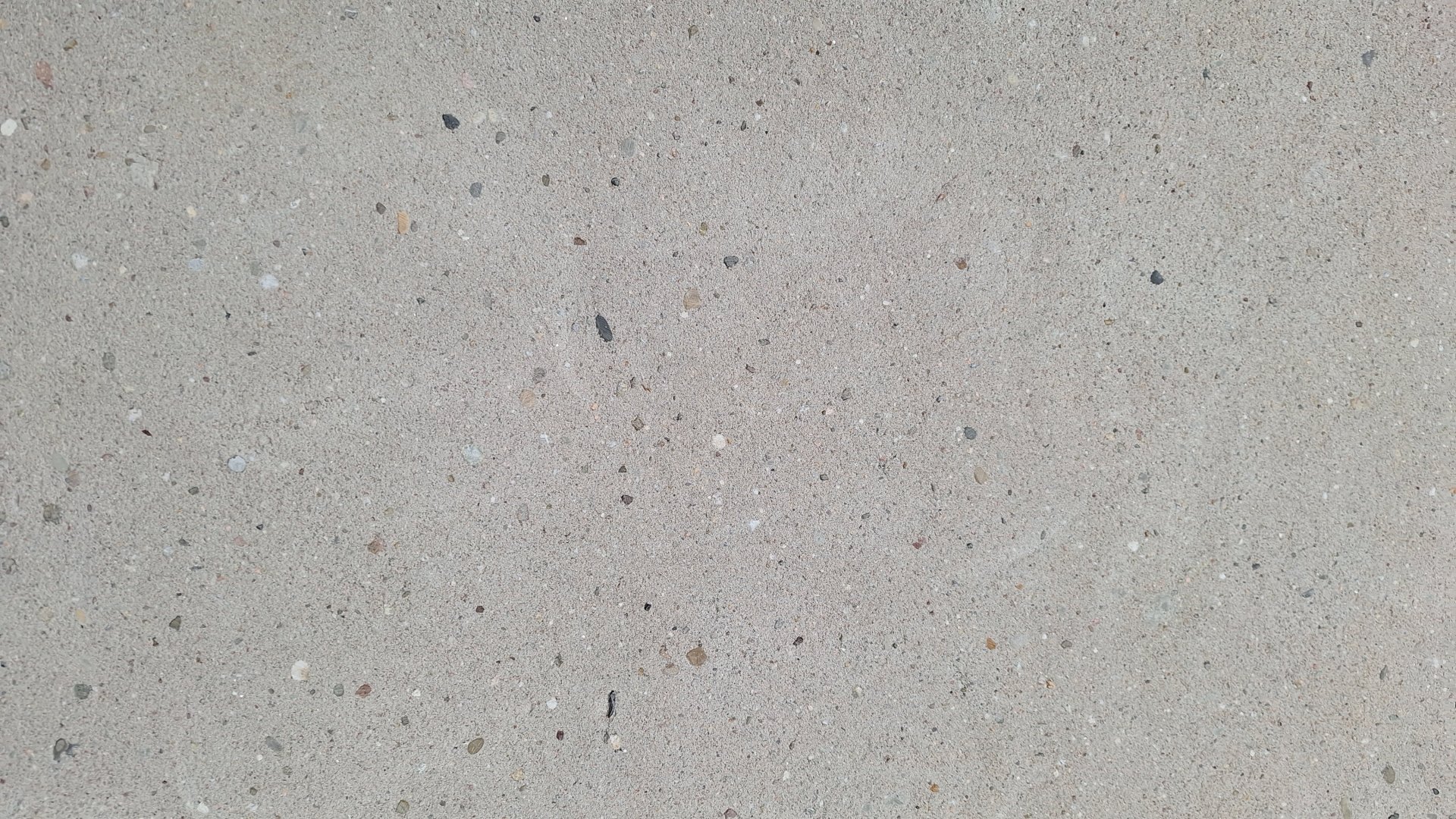 20241012_115034.jpg