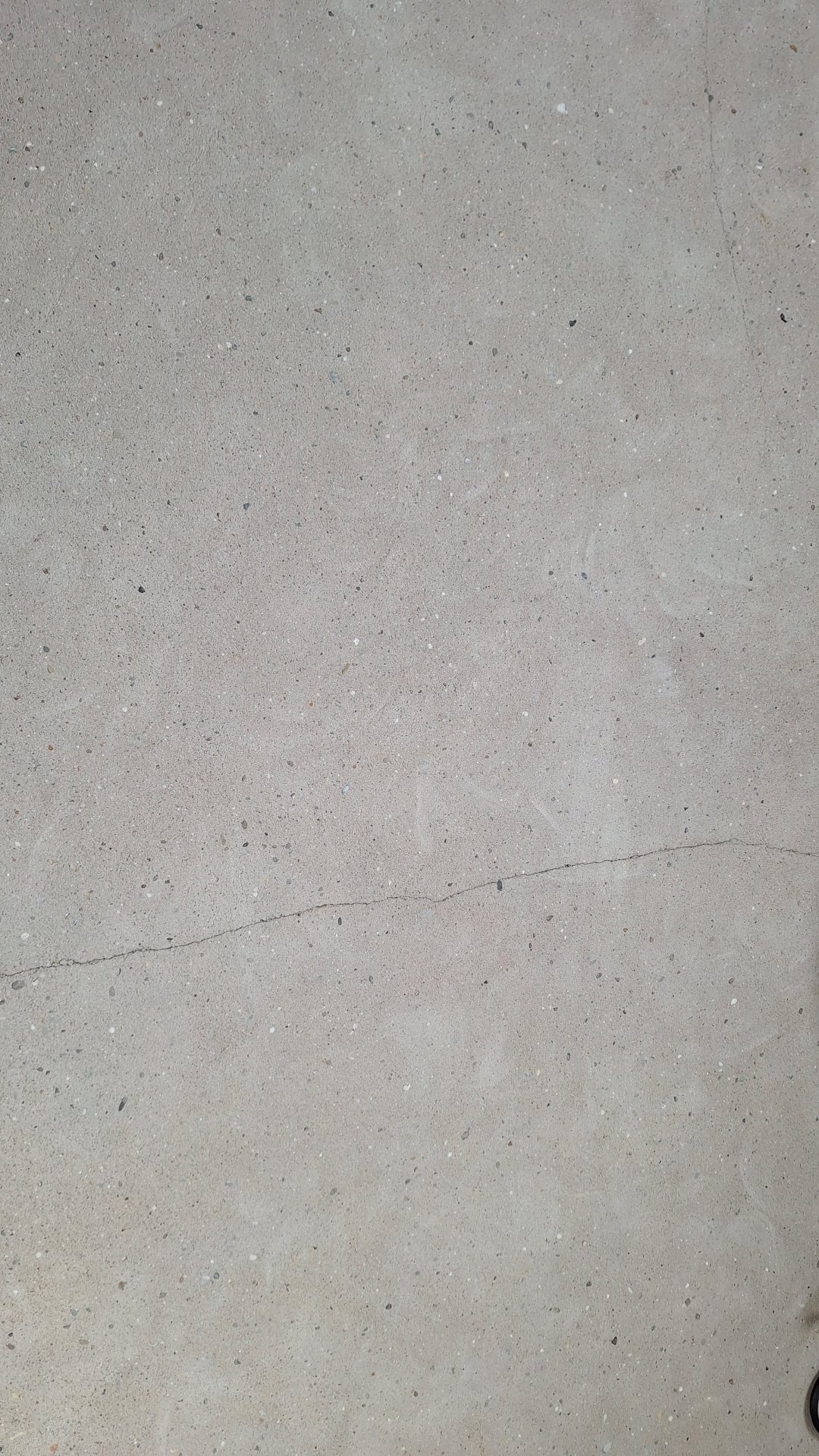 20241012_115059.jpg