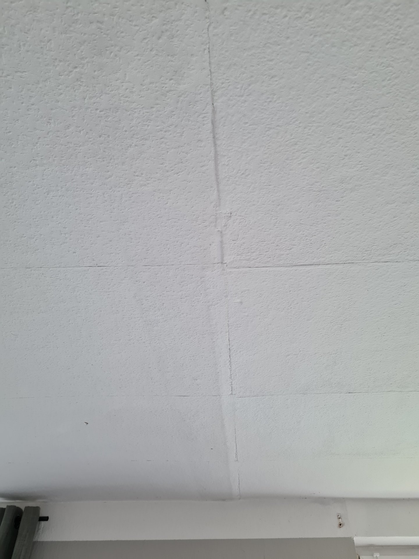 20241021_131230.jpg