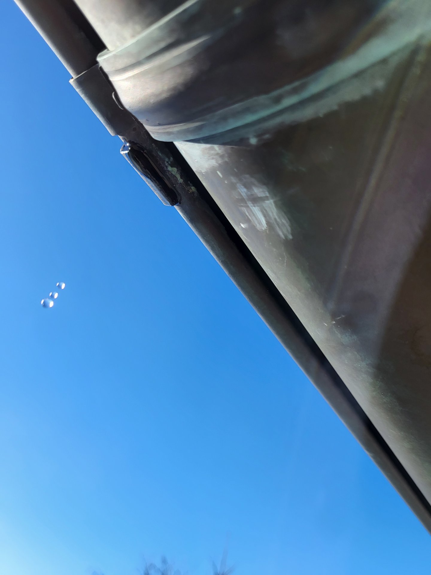 20241227_123513.jpg
