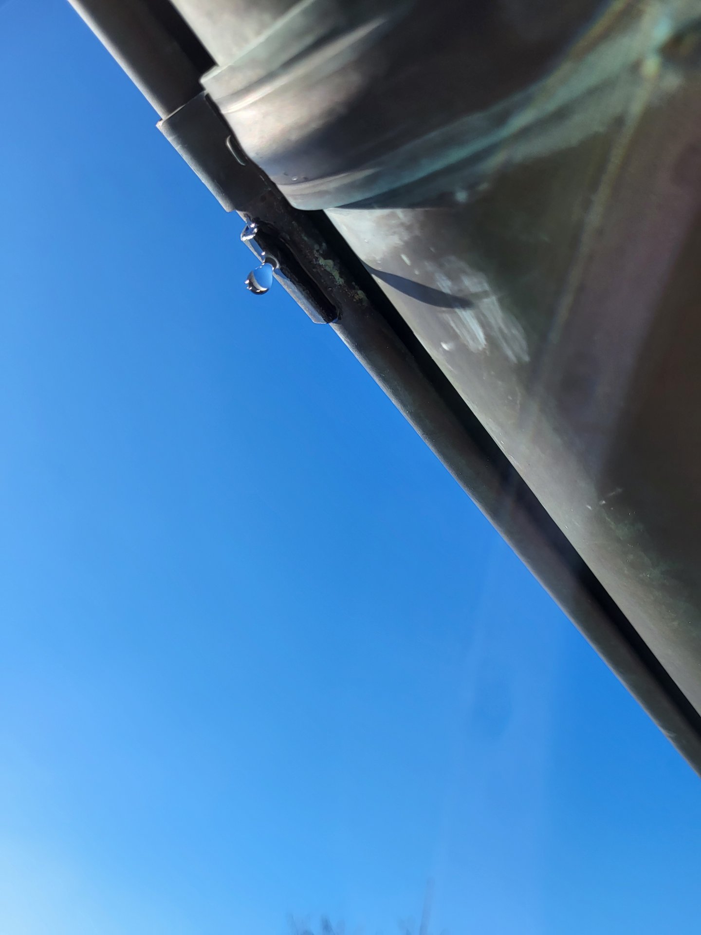 20241227_123517.jpg