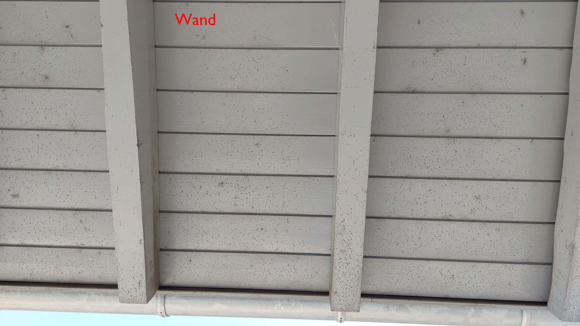 20260422_132704 Wand.jpg