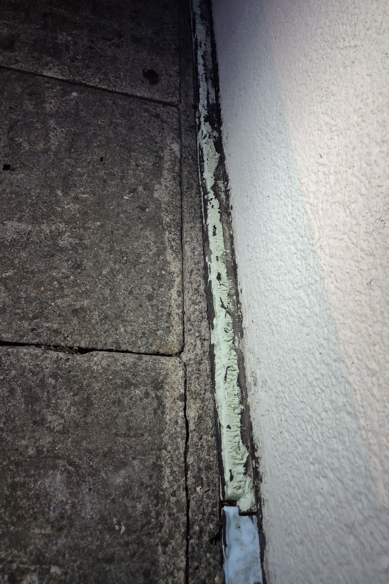 20260905_221110.jpg