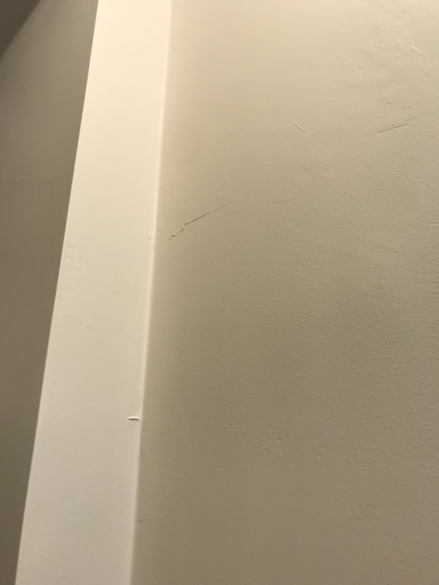 24E44552-6CB6-47ED-B1C3-45E7CBEF9183.jpeg