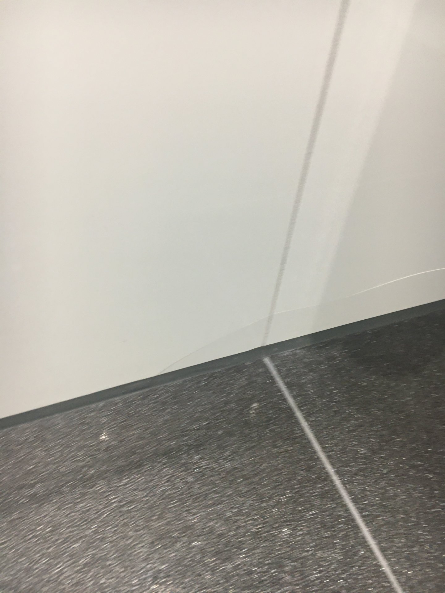 2FA8DF31-B4E2-4AF6-AB75-8D99AAE07802.jpeg